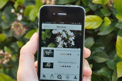 New app instantly identifies plants & flowers