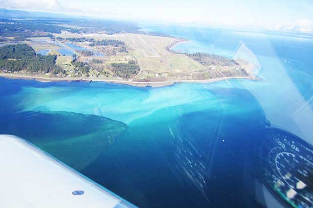 Herring Run Illuminates Ocean