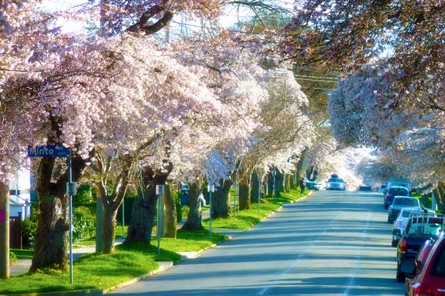 19 Signs It’s Spring On Vancouver Island