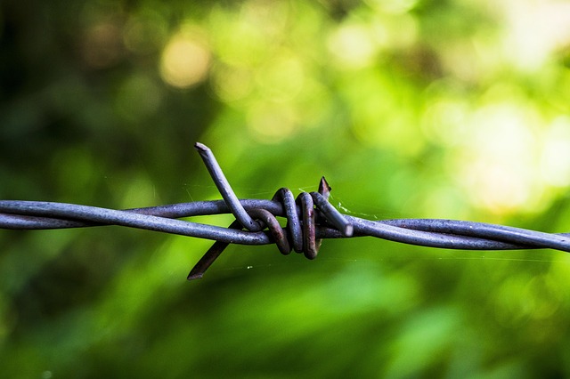 Alarming Discovery On Trail