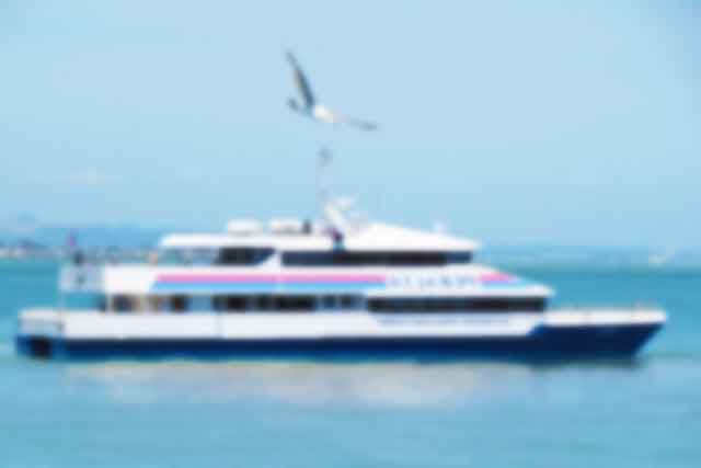 Big Search For Nanaimo – Vancouver Foot Ferry Operator